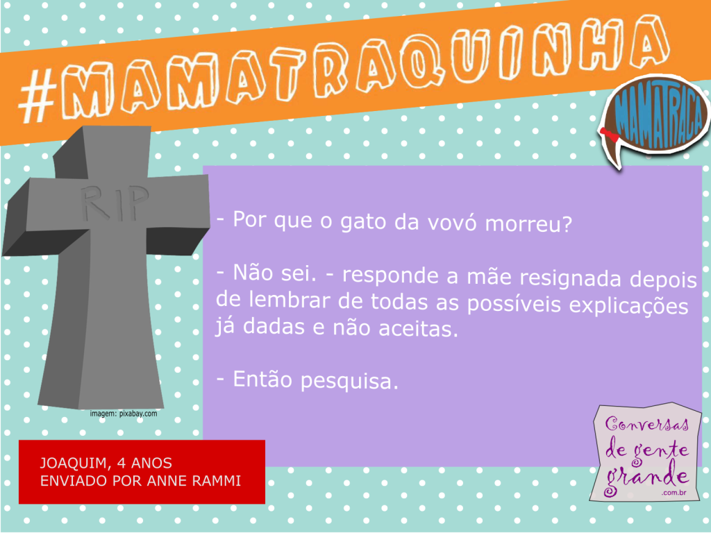 mortedogato